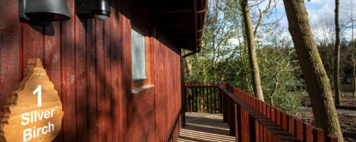 Freefolk Resort | Blackwood Forest Cabins - Forest Holidays