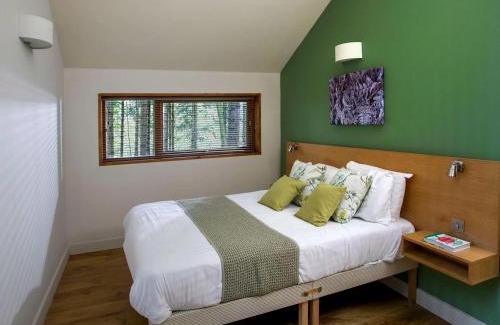 Freefolk Resort | Blackwood Forest Cabins - Forest Holidays