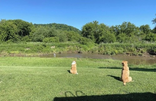 Viroqua RV Rental | Blakley Hobbit Campground-Tent spot #6