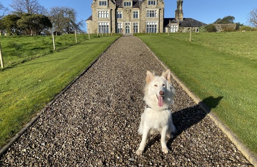 Fivemiletown Apartment | Blessingbourne Country Estate -Holly Courtyard Apartment