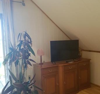 Laasow Apartment | Blick zum See