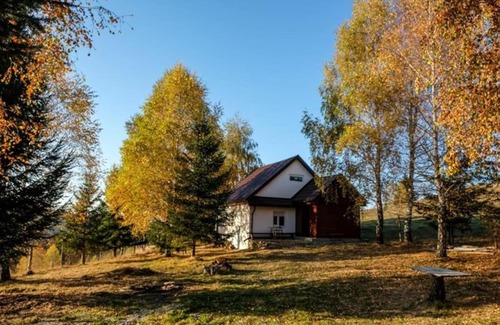 Paltinis House | Blidarei - Transilvanian Haven