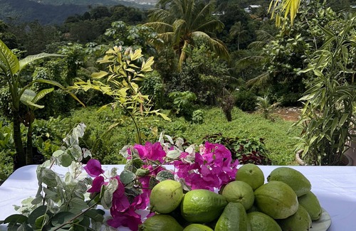 Castries Quarter Apartment | Blu Vista Cottages