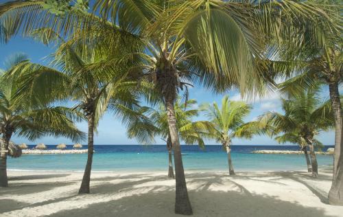 Sint Michiel Apartment | Blue Bay Lodges