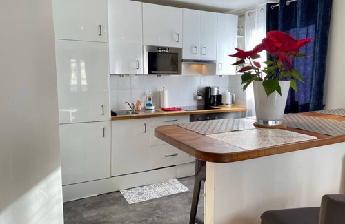 Saint-Cloud Condo | Blue Haven Sèvres Park view