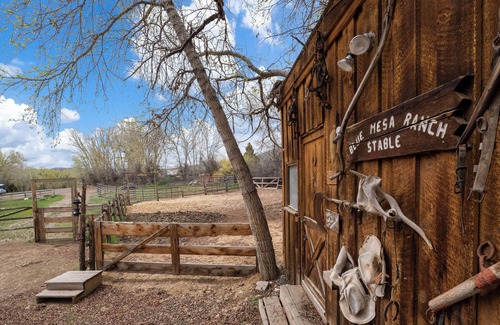 Gunnison Cabin | Blue Mesa Recreational Ranch