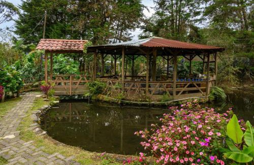 Bajos del Toro Cabin | Blue Morpho Lodge