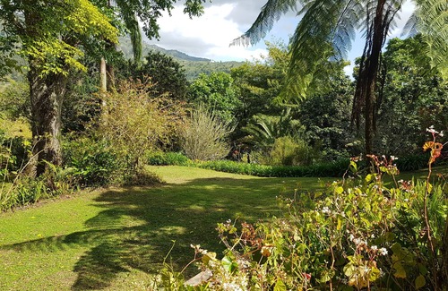 Silver Hill Gap Cottage | Blue Mountains Jamaican Vacation
