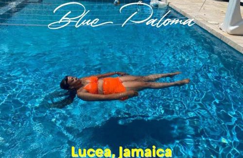Lucea Bed & Breakfast | Blue Paloma Bed & Breakfast