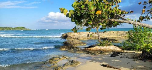 Lucea Bed & Breakfast | Blue Paloma Bed & Breakfast
