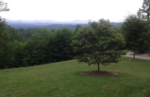 Lenoir House | Blue Ridge Mountain View Home Near Blowing Rock
