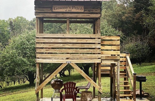 Cana Cabin | Blue Ridge Mtn Log Cabin 4 bedroom + Treehouse Bird Watchers