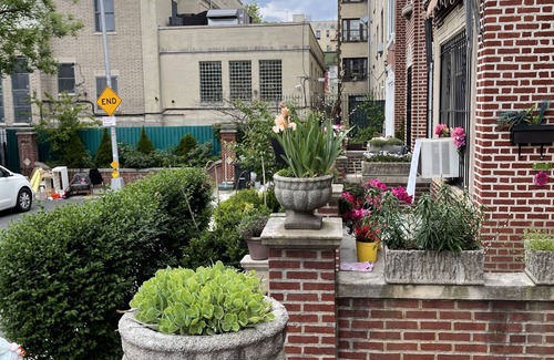 Ditmas Park House | Blue room