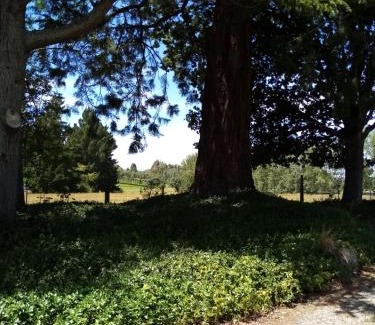 Timaru Bed & Breakfast | Blue Stone