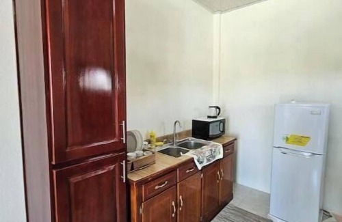 Demerara-Mahaica Apartment | Blue Villa Apartment 43 Section CnBeautiful 1- bedroom, 1 bath apartment
