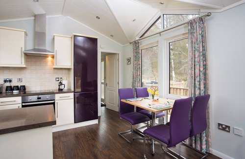 Strathpeffer Cabin | Bluebell Lodge - Sleeps 4,hot Tub, Loch & Woodland
