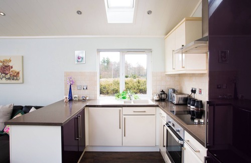 Strathpeffer Cabin | Bluebell Lodge - Sleeps 4,hot Tub, Loch & Woodland