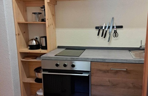 Steinberg am Rofan Apartment | Blueberry - Naturetouch