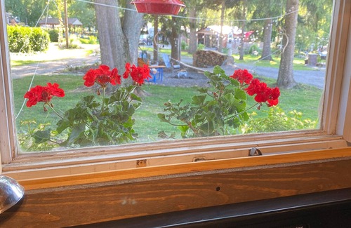 Castile Cottage | Bluebird Cottage on Silver Lake near Letchworth State Park Entrance