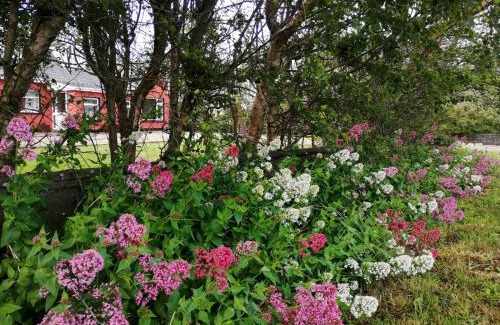 Kilkee Bed & Breakfast | BlueTit Lodge