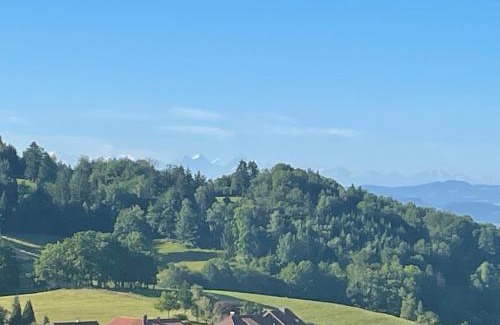 Adelsberg Apartment | Blumenhof - ERHOLUNG PUR, traumhafte Aussicht
