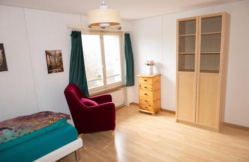 Langnau Im Emmental Apartment | BnB Ilfis Wohnung Nr 2