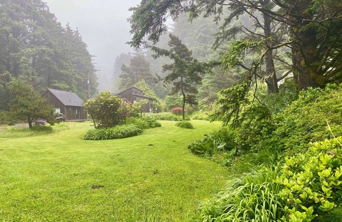 Yachats Cabin | Bob Creek Studio - across from Bob Creek Beach, Forest.
