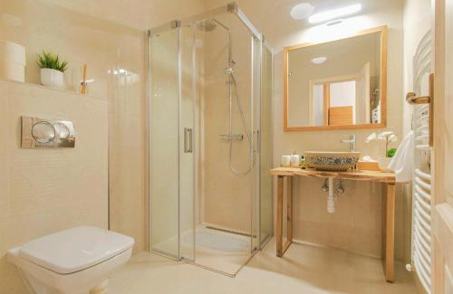 Bodrogkisfalud Apartment | Bodrog Borműhely Vendégház