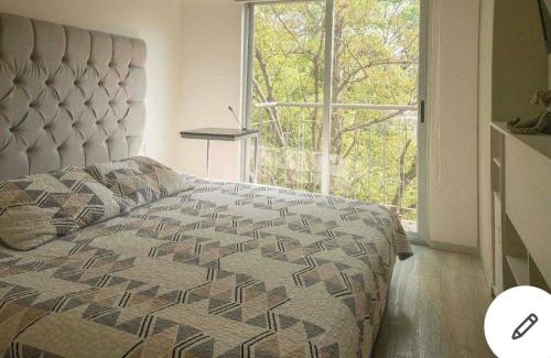 Miguel Hidalgo Apartment | Bonito departamento Ciudad de México