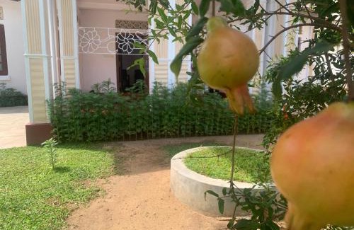 Arunagiri Nagar House | BonVoyaageVilla