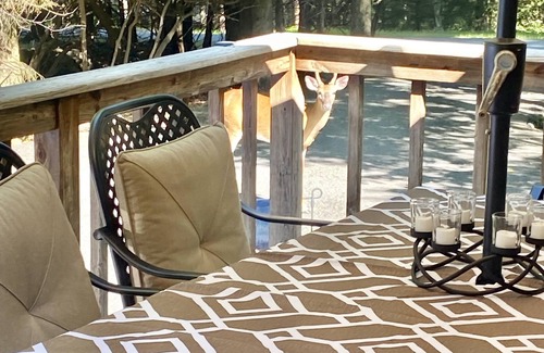 Lake Harmony Estates Cabin | Book for Fall and Winter! Great rates! Family and dog friendly!