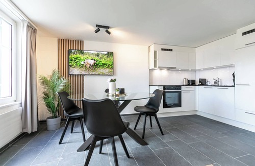 St. Gallen Apartment | book2stay 2-room apartment #2 Rosenberg up to 4 persons
