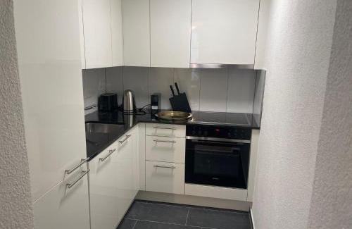 St. Gallen Apartment | book2stay - Apartments Spisertor