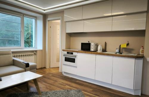Narva Apartment | Border studio Aleksandri