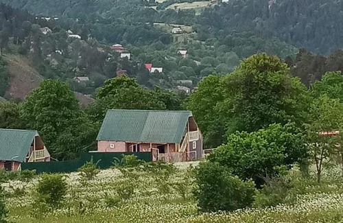 Likani House | Borjomi Cottage Tsemi