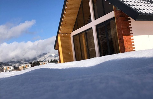 Likani Ski Chalet | Borjomi inn