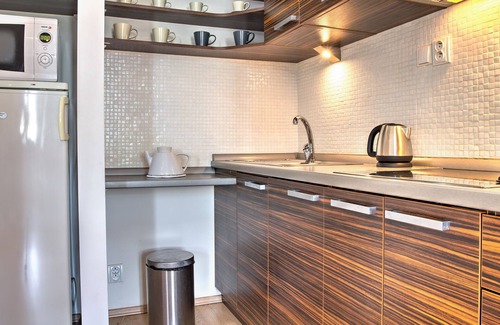 Hradec Kralove Apartment | Boromeum Residence
