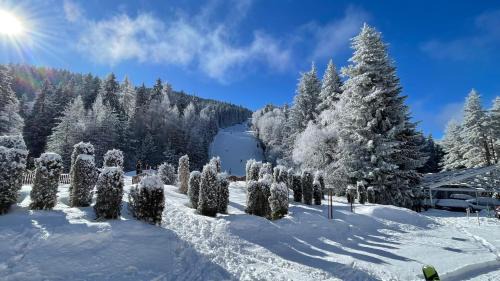 Samokov Apartment | Borovets Hills Boro Boro Studio 35m2