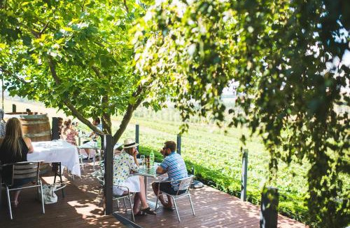 Canobolas Resort | Borrodell Vineyard