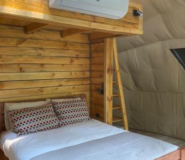 Pinto Cabin | Bosque Vivo