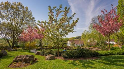 Eppelborn Hotel | Botanico Finkenrech Hotel&Restaurant