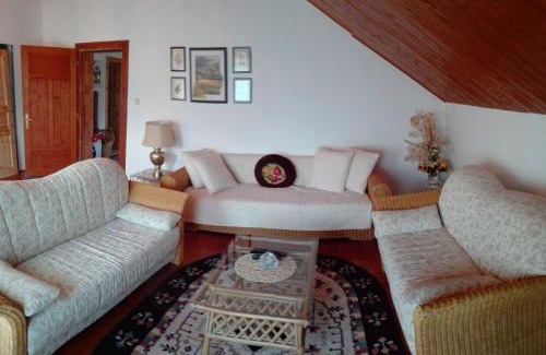 Porumbacu de Jos Apartment | Boutique apartment 80 sqm