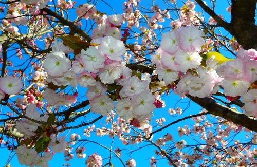 Mittagong Bed & Breakfast | Bowral Road Art Gallery Bed and Breakfast