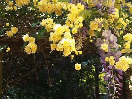 Mittagong Bed & Breakfast | Bowral Road Art Gallery Bed and Breakfast