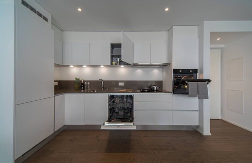 Massagno Apartment | Brand New Apartment In The Heart Of Lugano City 10