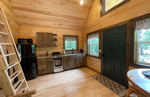 Munising Cabin | Brand New Cozy Tiny Cabin Nestled in the Hiawatha National Forest