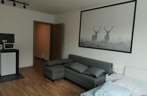 Palmovka Apartment | Brand new studio apartment #30 in brand new building FREE PARKING close to center