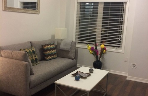 Fisherville House | Brandnew whole Luxury Townhouse , fully equipped,free Parking /Close to York U