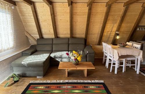 Ocna Sugatag House | Breb 220C