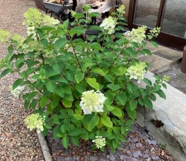 Kirkbymoorside Bed & Breakfast | Brickfields Farm